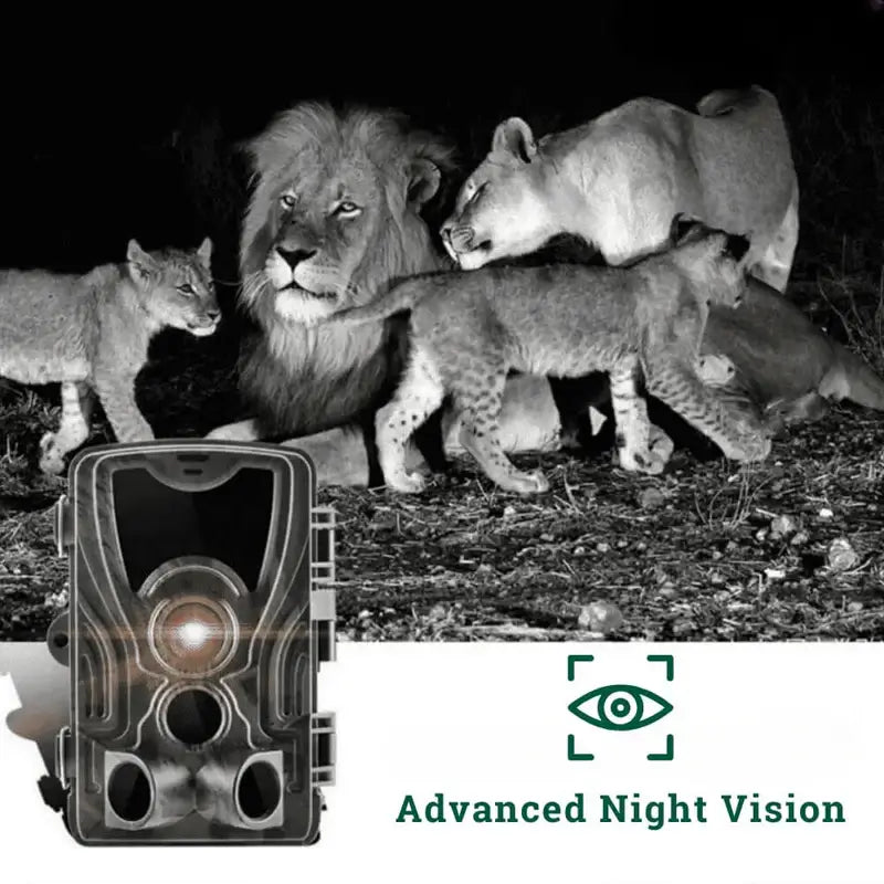 Full HD Wildlife Camera with Night Vision, IP65 Waterproof, Motion Detection, Built-in Screen, 120° Wide-Angle Lens 3